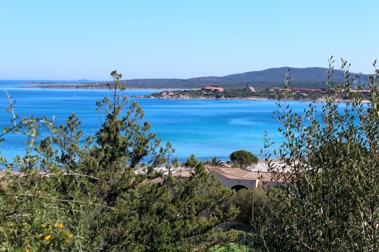 Appartamento Casa vacanze il Corbezzolo - Golfo di Marinella Porto Rotondo Esterno foto
